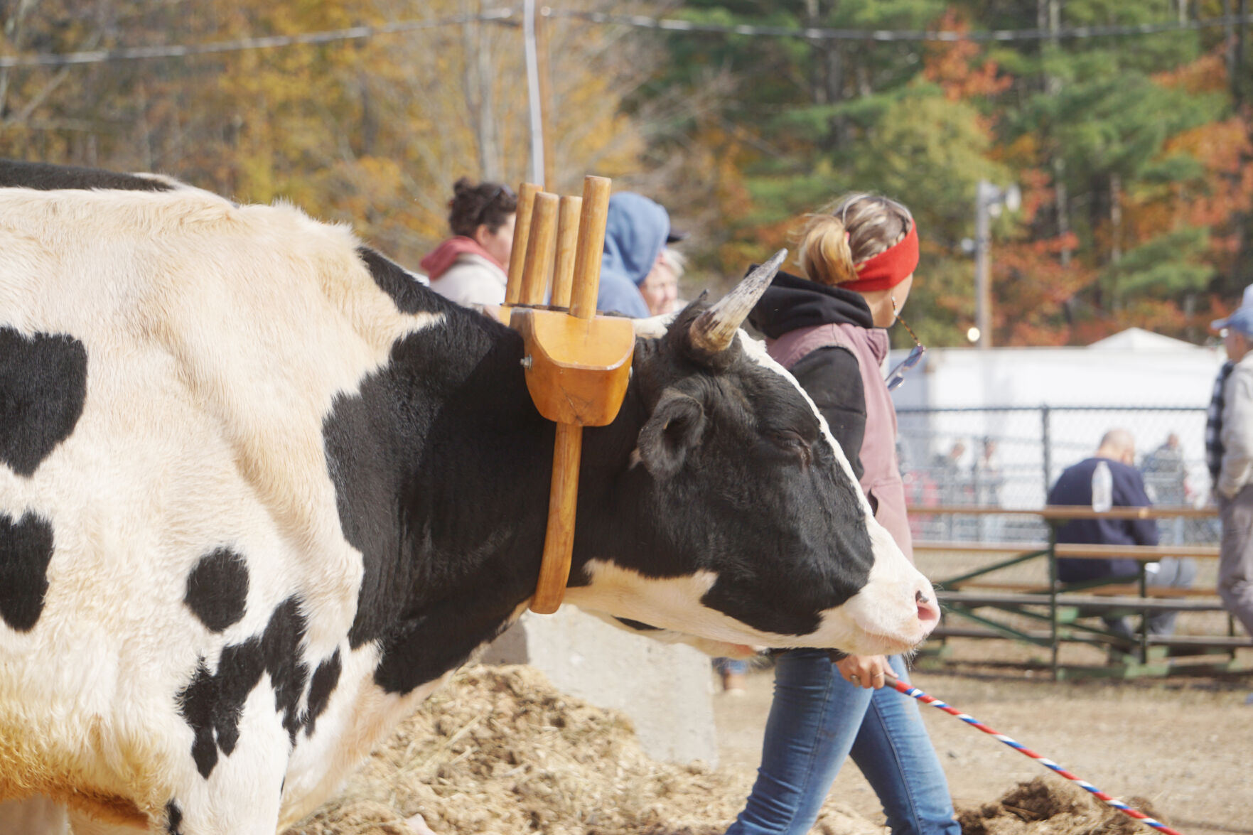Weather doesn't deter more than 35,000 visitors to Sandwich Fair